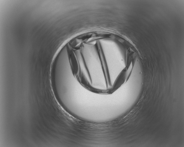 X0000052931508200507292338