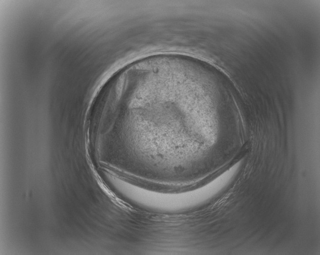 X0000052931511200507292338