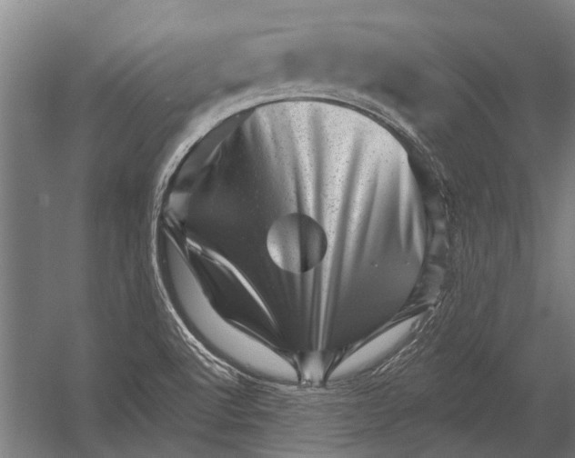 X0000052931512200507292338