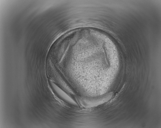 X0000052931513200507292339