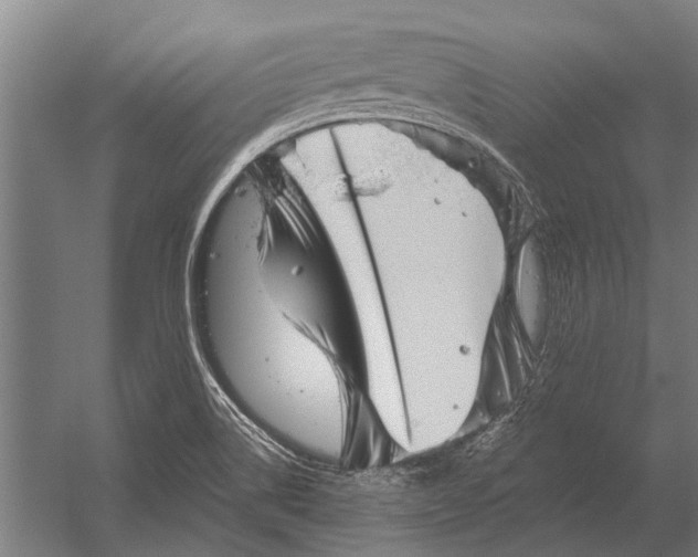 X0000052931514200507292339