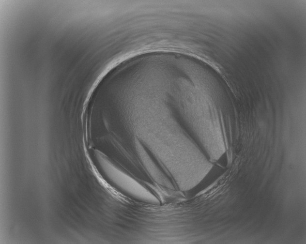 X0000052931515200507292339