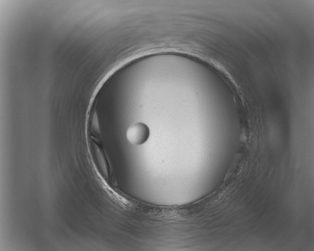 X0000052931516200507292339