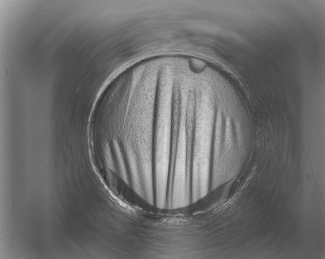 X0000052931517200507292339