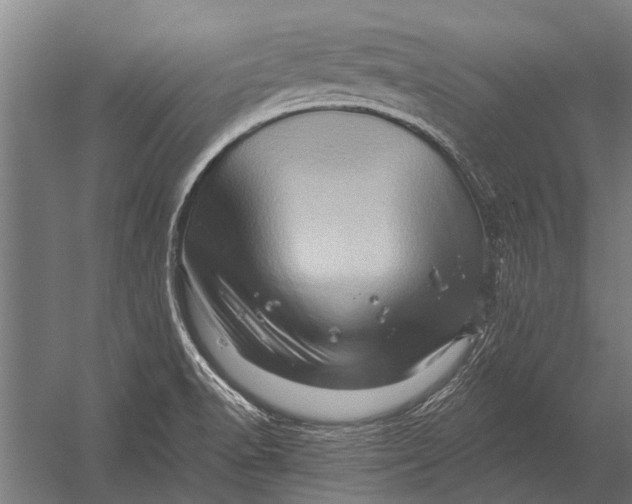 X0000052931518200507292339