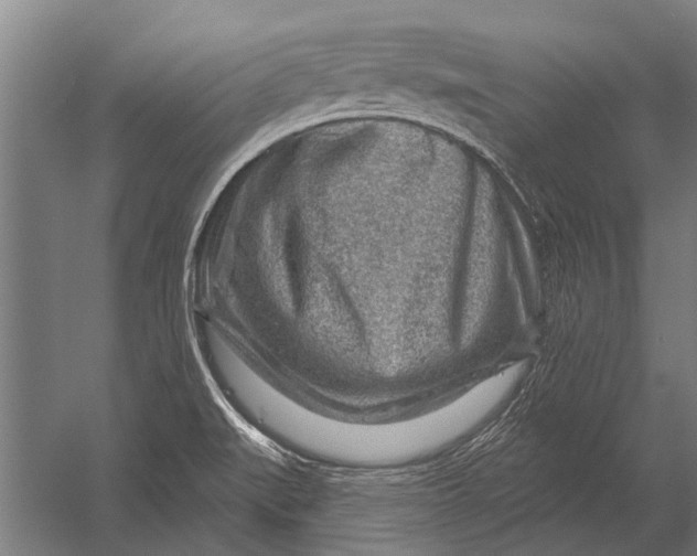 X0000052931519200507292339