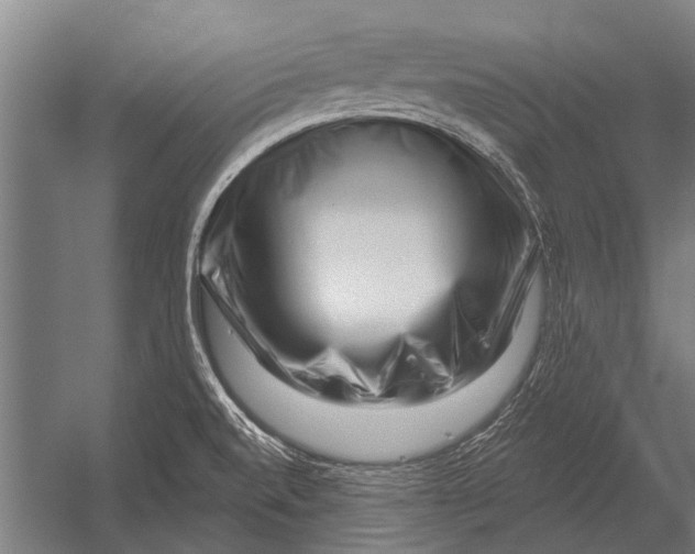 X0000052931520200507292339