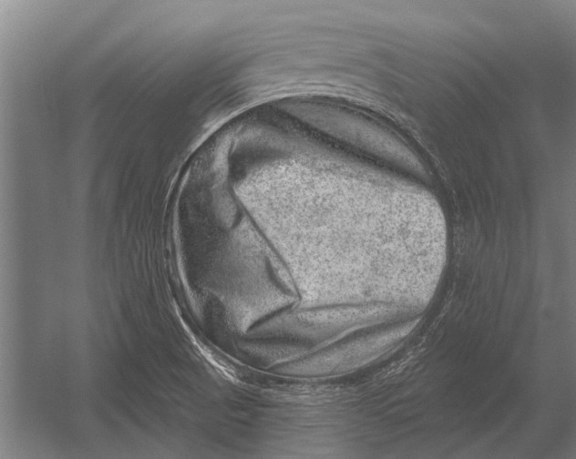 X0000052931521200507292339