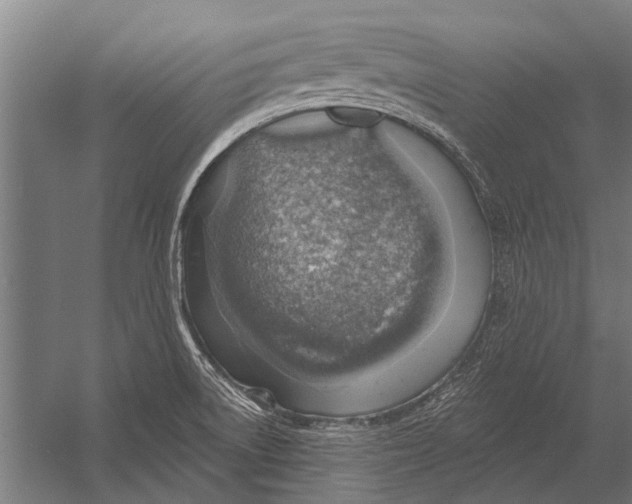 X0000052931522200507292339