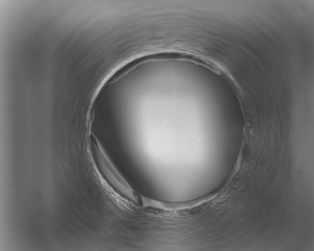 X0000052931524200507292339