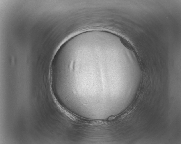 X0000052931526200507292339