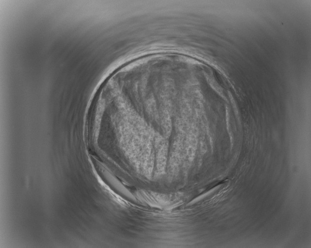 X0000052931527200507292339