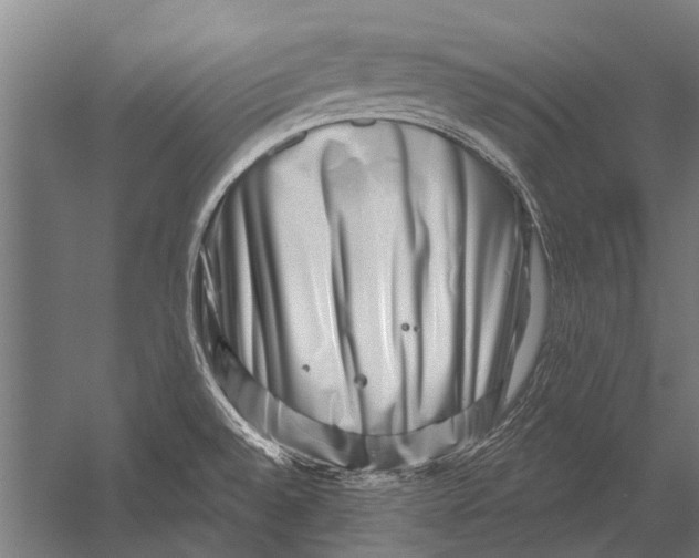 X0000052931528200507292339