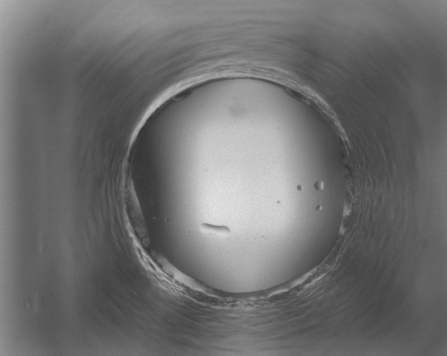 X0000052931530200507292339