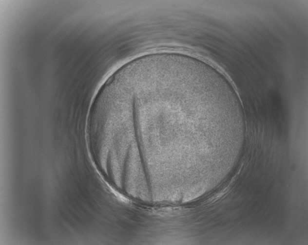 X0000052931533200507292339