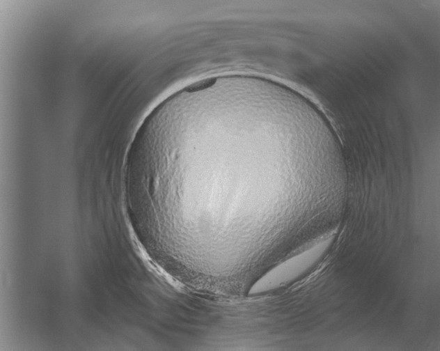 X0000052931534200507292339