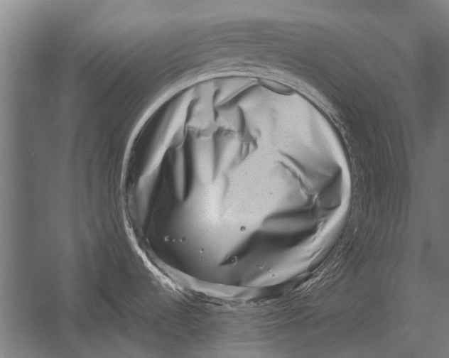 X0000052931536200507292339