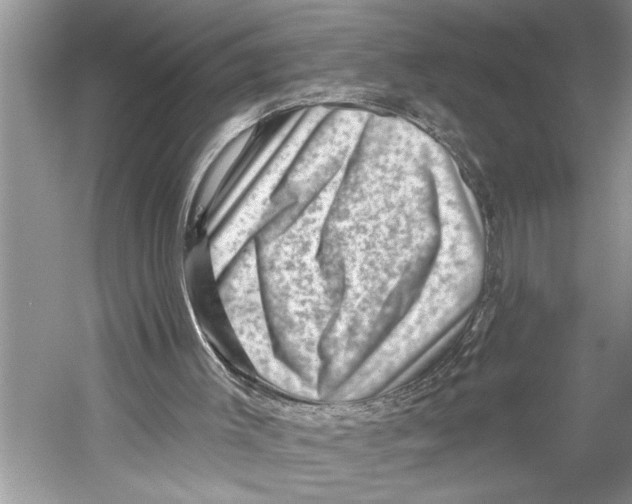 X0000052930003200508050842