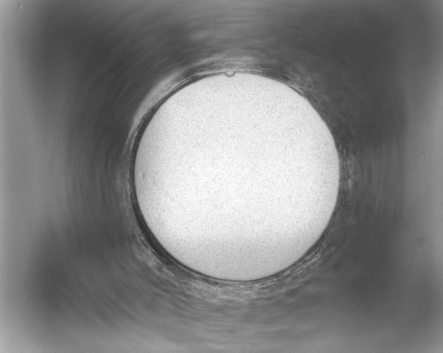 X0000052930004200508050842