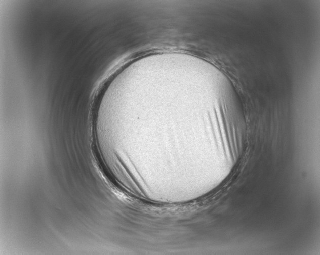 X0000052930005200508050841
