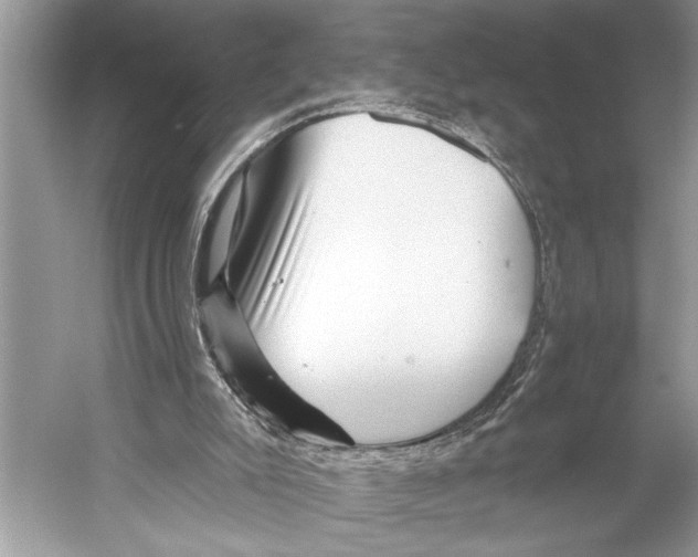X0000052930007200508050841