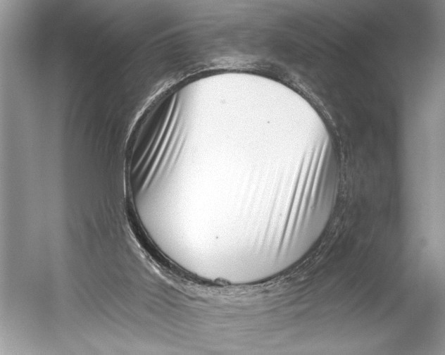 X0000052930011200508050841