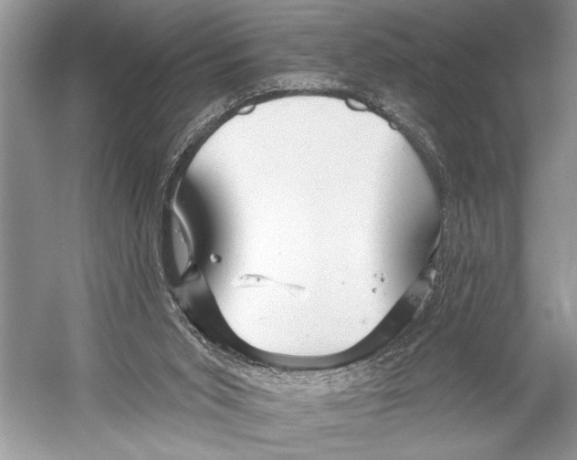 X0000052930015200508050841
