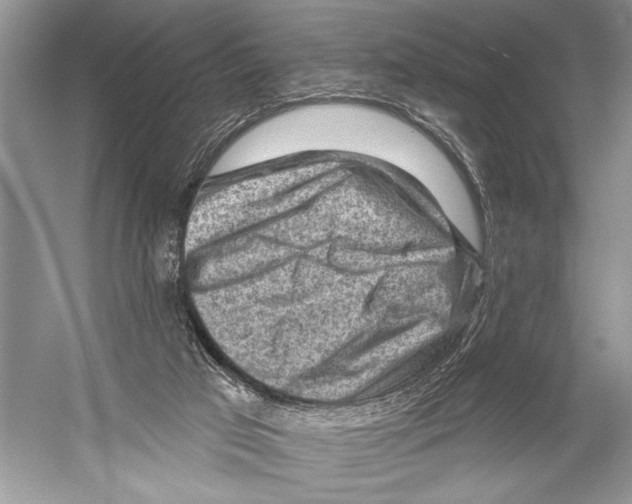 X0000052930017200508050841