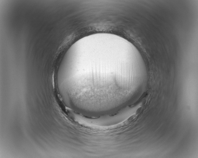 X0000052930019200508050841