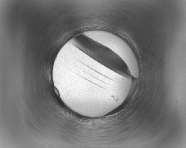 X0000052930021200508050841