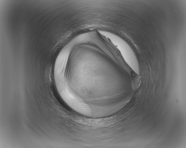 X0000052930023200508050841
