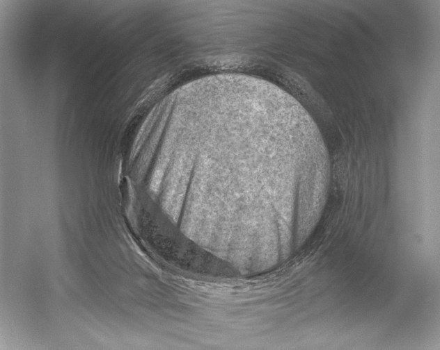 X0000052930024200508050841