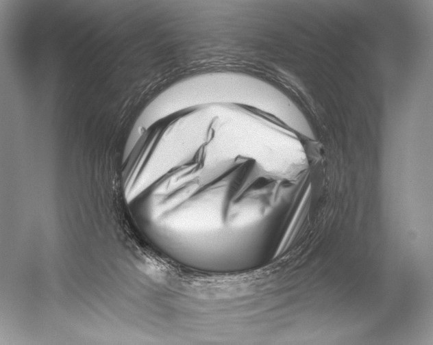 X0000052930025200508050841