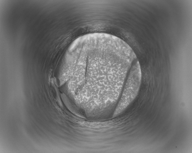X0000052930026200508050841