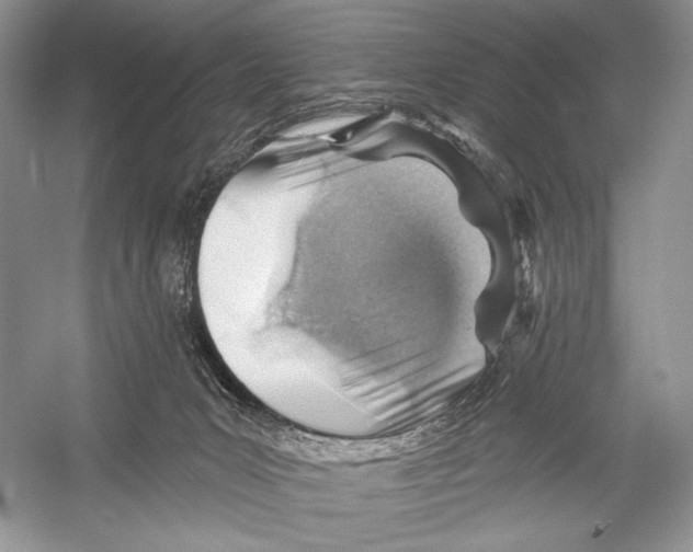 X0000052930031200508050841