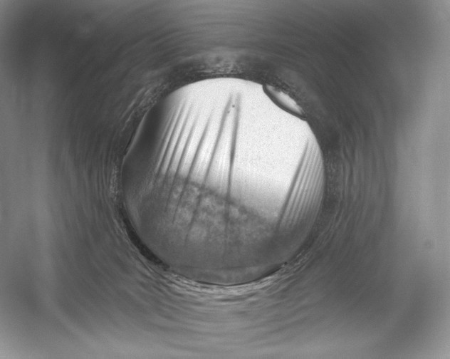 X0000052930035200508050841