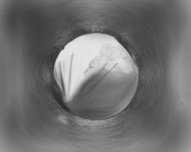 X0000052930039200508050841
