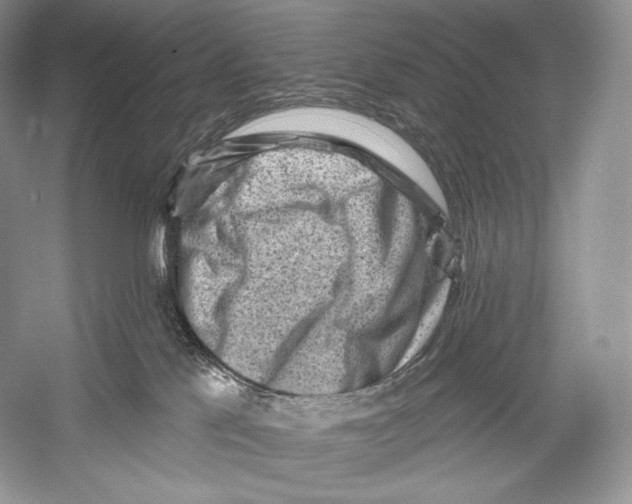 X0000052930041200508050841