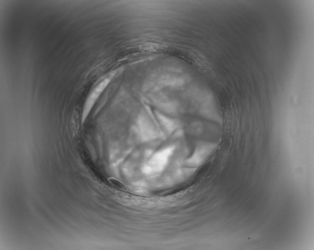 X0000052930043200508050841