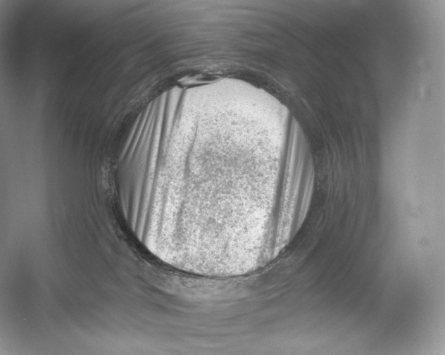 X0000052930044200508050841