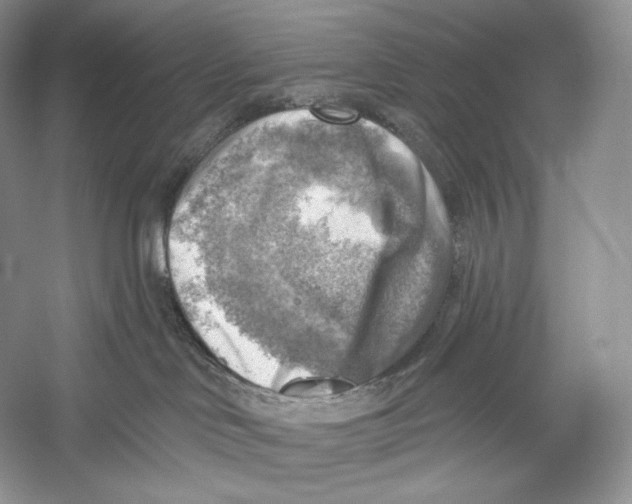 X0000052930046200508050841