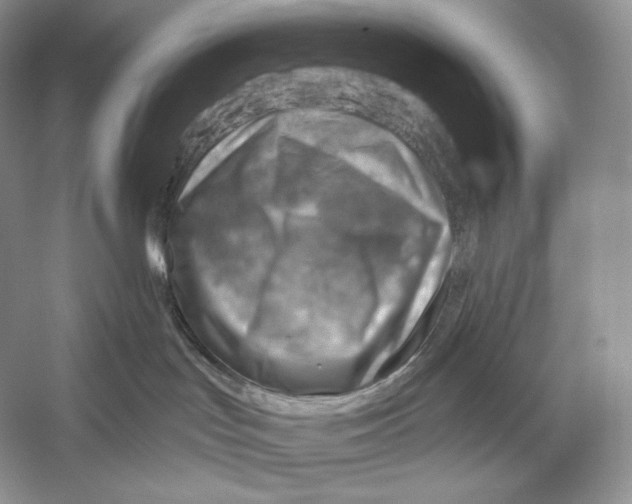 X0000052930047200508050841