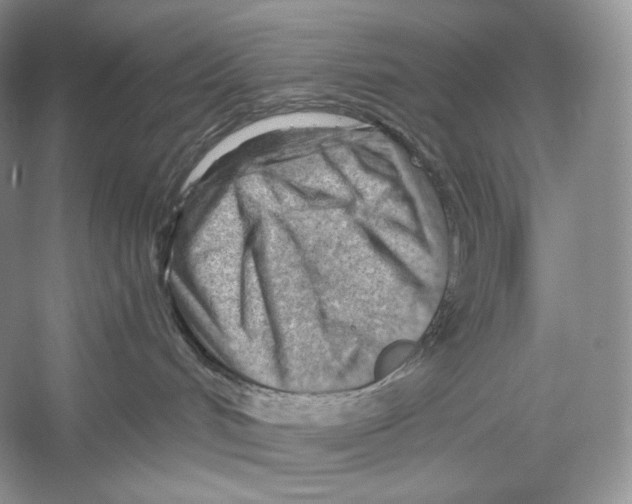 X0000052930048200508050841