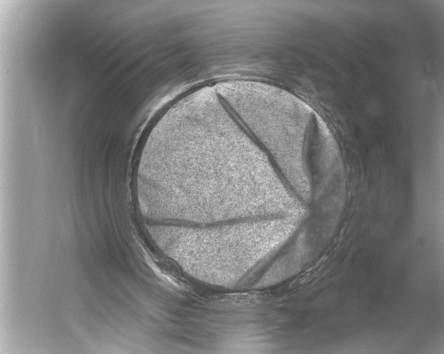 X0000052930050200508050840
