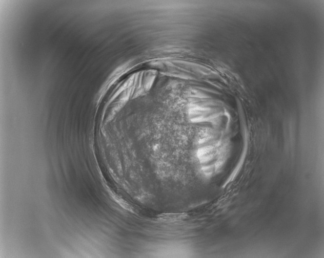 X0000052930051200508050840