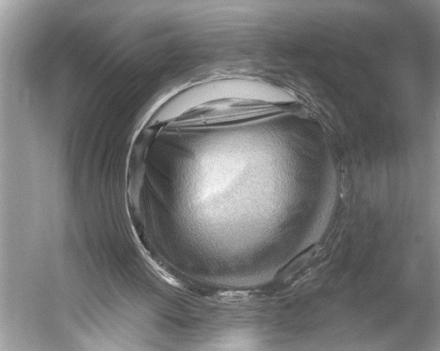 X0000052930052200508050840