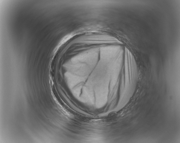 X0000052930054200508050840