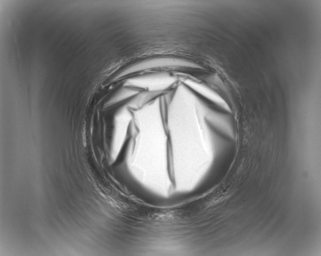 X0000052930068200508050840