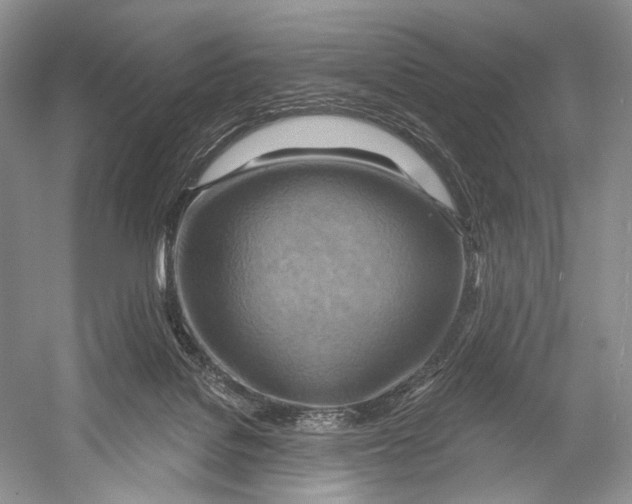 X0000052930076200508050840