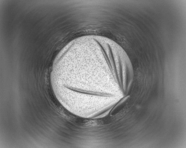 X0000052930083200508050841